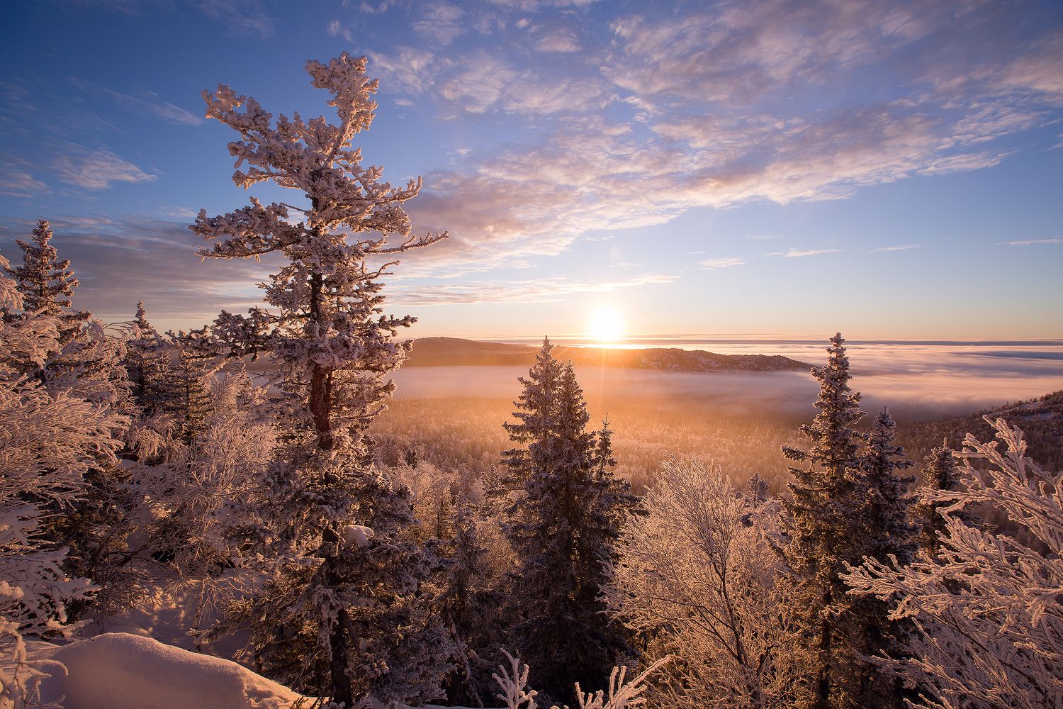 Отборочный этап краевого конкурса исследовательских краеведческих работ