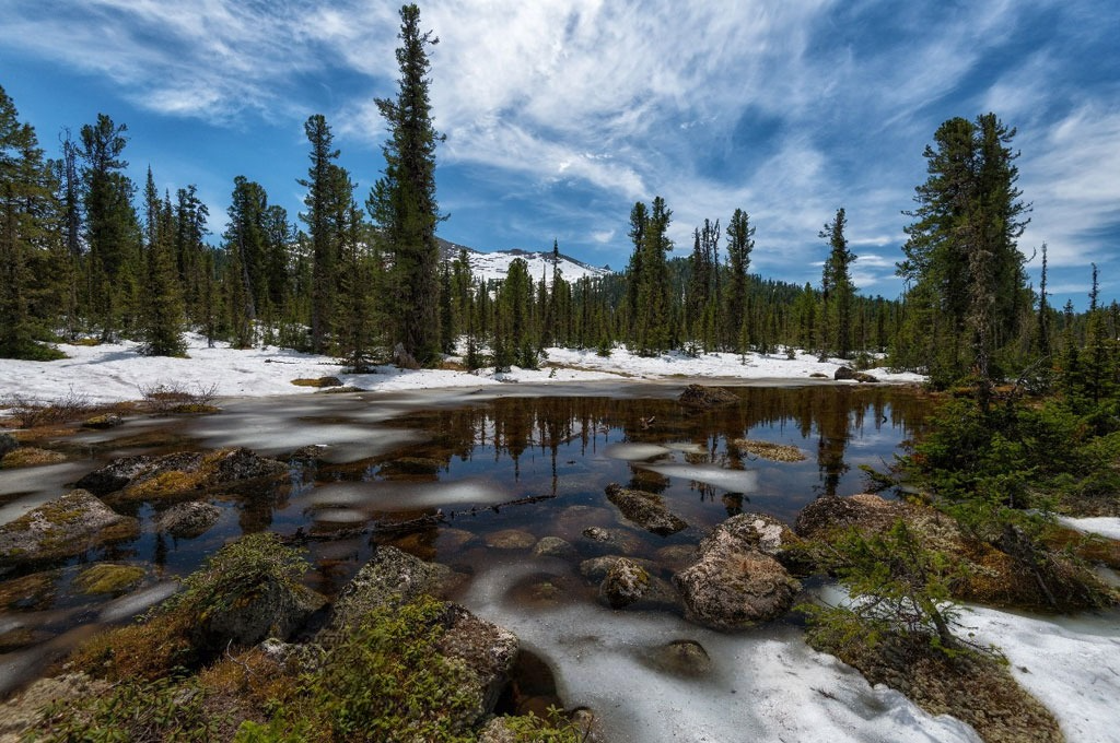 Отборочный этап краевого конкурса исследовательских краеведческих работ